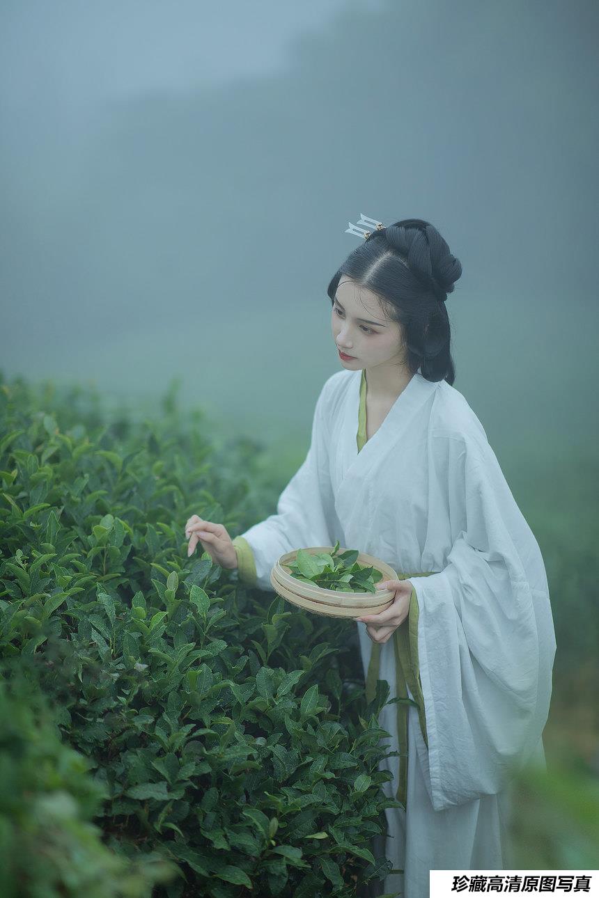 [YITUYU艺图语]2021.12.02 采茶女 十八重川[19+1P／151MB]